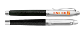 Two Tone Promotional Pen